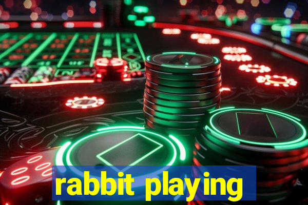 rabbit playing