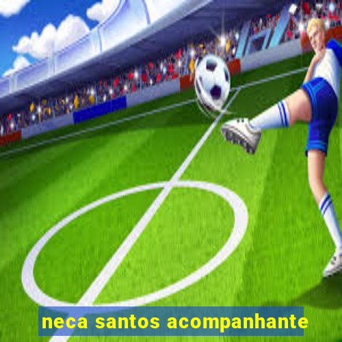 neca santos acompanhante