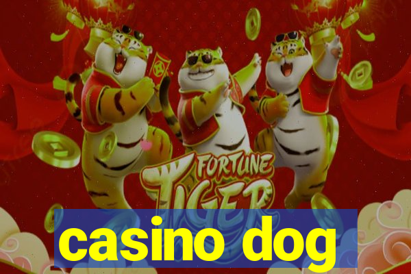 casino dog