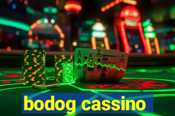 bodog cassino