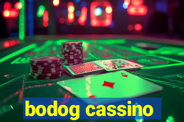 bodog cassino