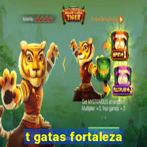 t gatas fortaleza