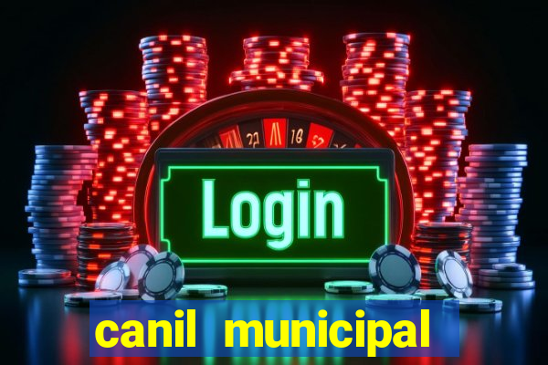 canil municipal porto alegre