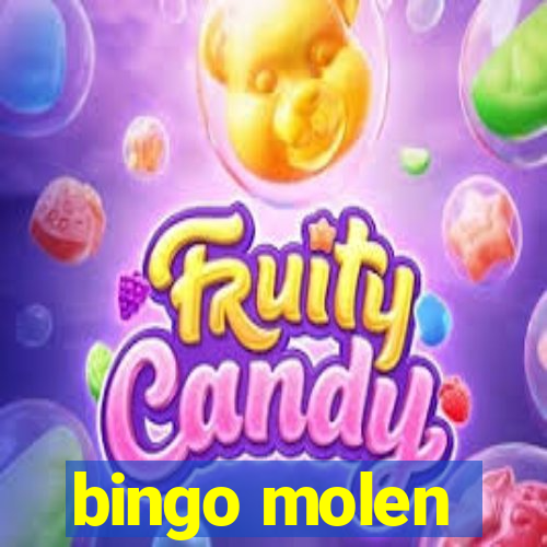 bingo molen