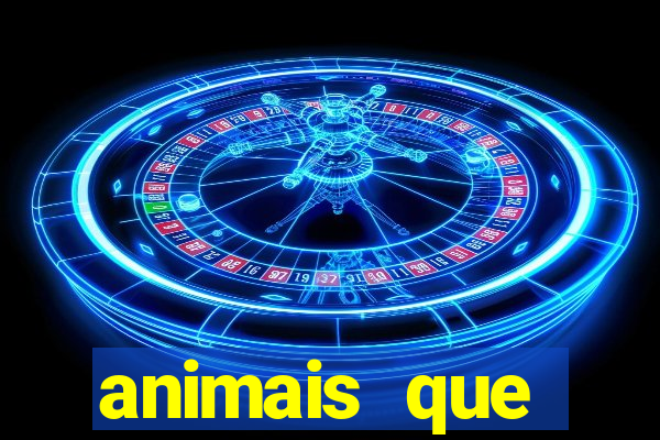 animais que produzem alimentos