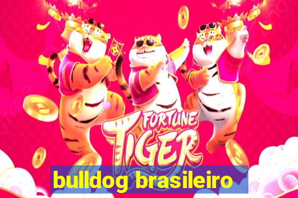 bulldog brasileiro