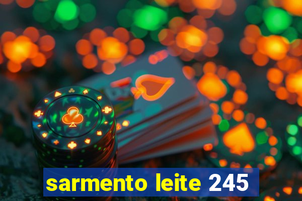 sarmento leite 245