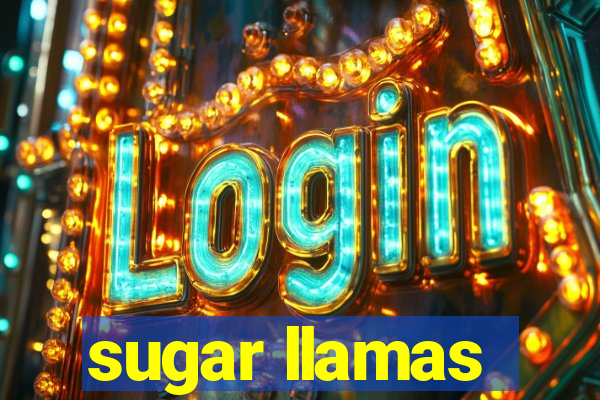 sugar llamas