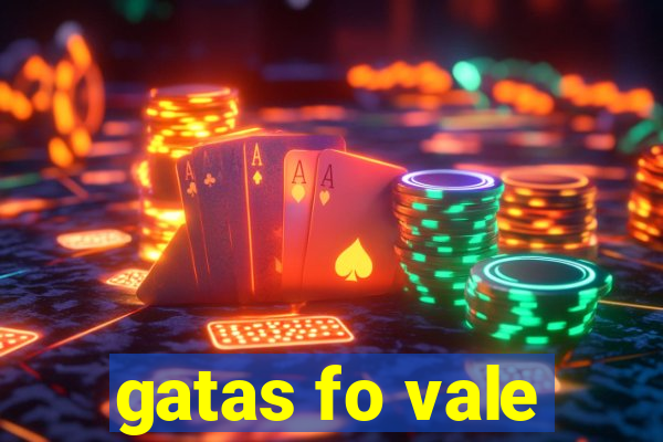 gatas fo vale