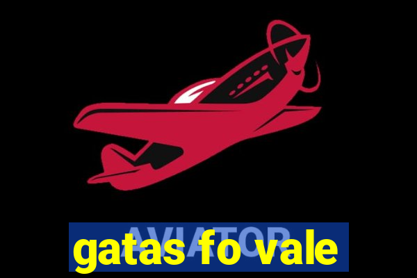 gatas fo vale