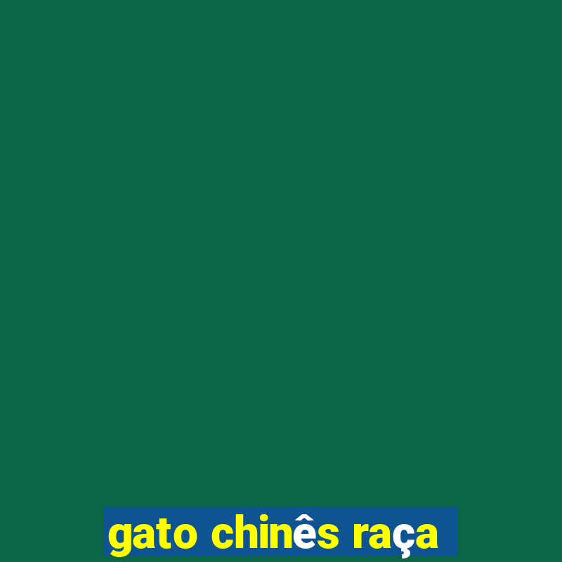 gato chinês raça