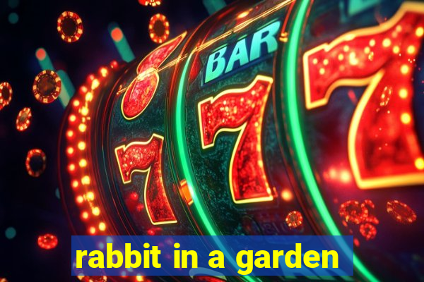 rabbit in a garden