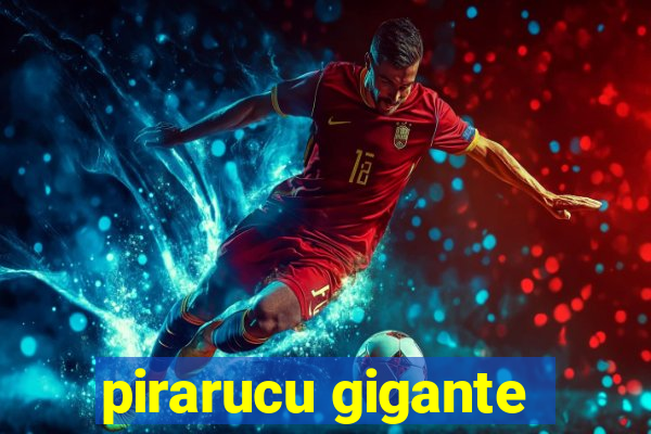 pirarucu gigante