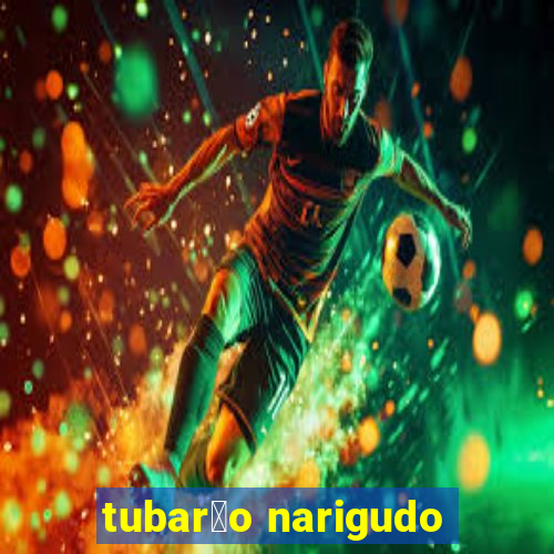 tubar茫o narigudo