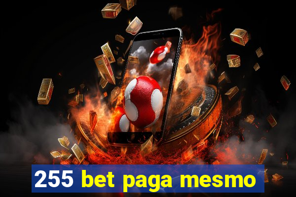 255 bet paga mesmo