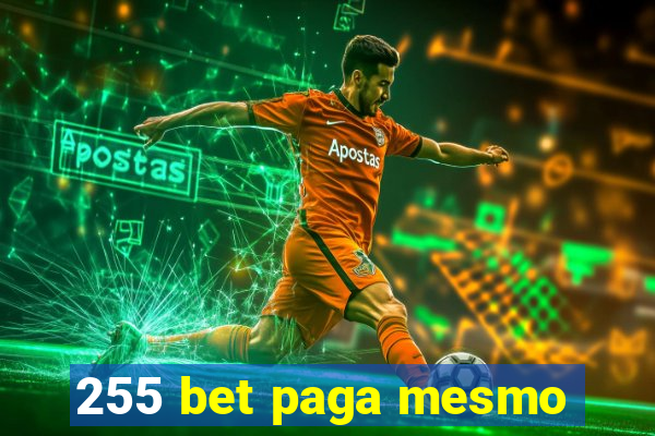 255 bet paga mesmo