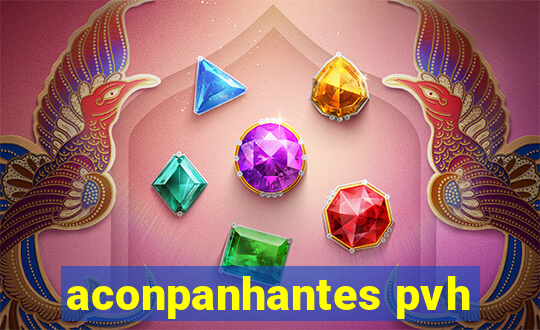 aconpanhantes pvh