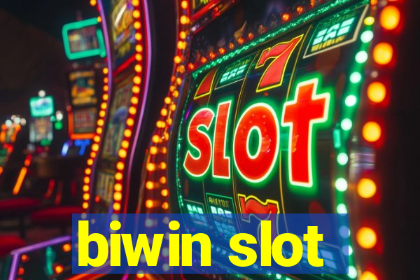 biwin slot