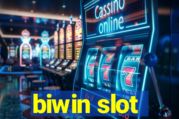 biwin slot