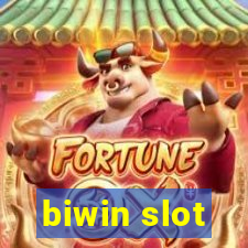 biwin slot